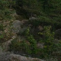 IMG 4473
