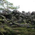 IMG 4477