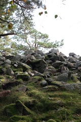 IMG 4478