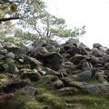 IMG 4478