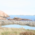 IMG 4480