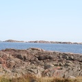 IMG 4482