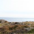IMG 4484