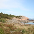 IMG 4485