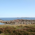 IMG 4487