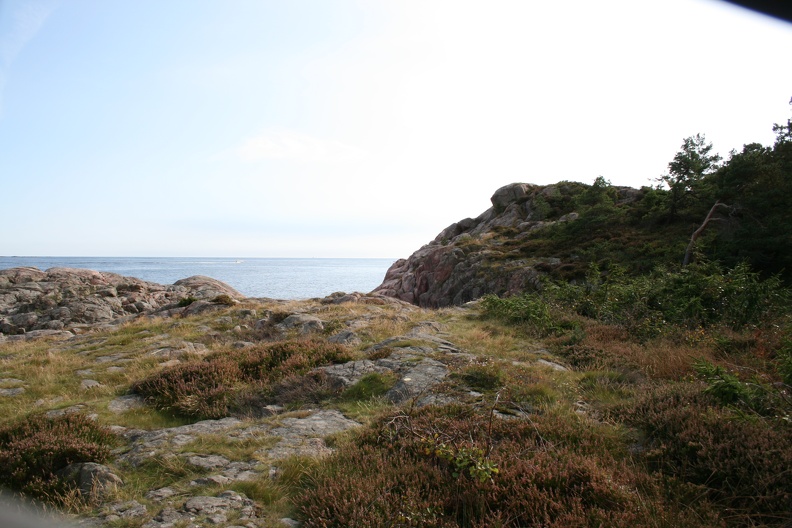 IMG_4490.JPG