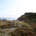 IMG 4490