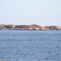 IMG 4493