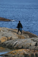 IMG 4500