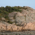 IMG 4501