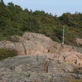 IMG 4502