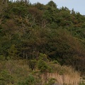 IMG 4503