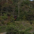 IMG 4504