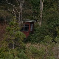 IMG 4505