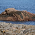 IMG 4509