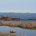 IMG 4510