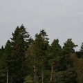 IMG 4511