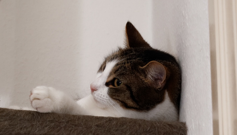 IMG_7990_DxO.jpg