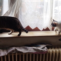 IMG 20260329 165245