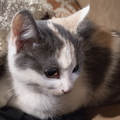 IMG 20260104 015925
